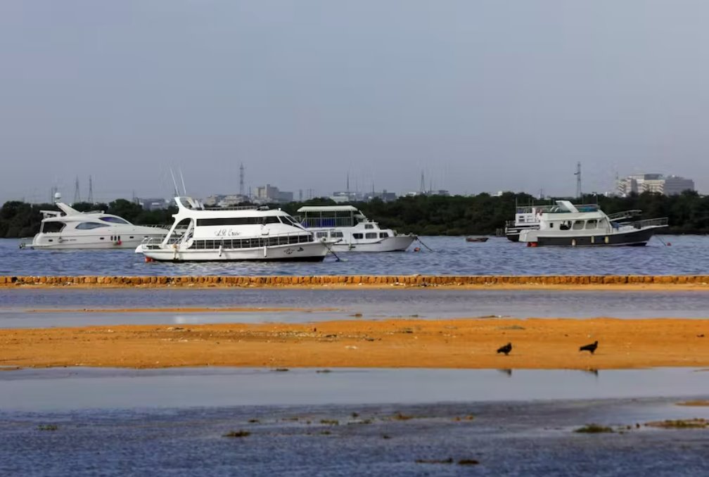 飓风比帕乔伊迫使印度西海岸75000人撤离